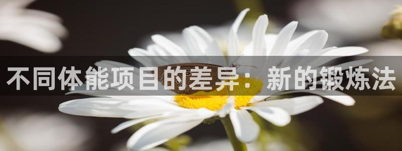 182体育app最新版：不同体能项目的差异：新的锻炼法