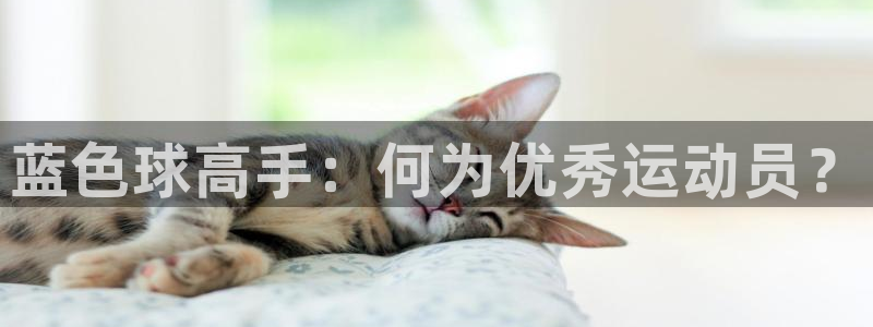 182体育app官方网站：蓝色球高手：何为优秀运动员？