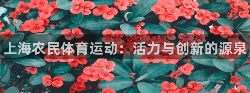 182体育什么：上海农民体育运动：活力与创新的源泉