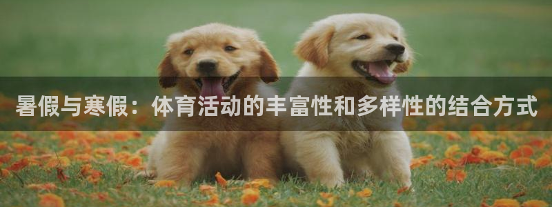 182体育红单足球官网入口：暑假与寒假：体育活动的丰富性和多样性的结合方式