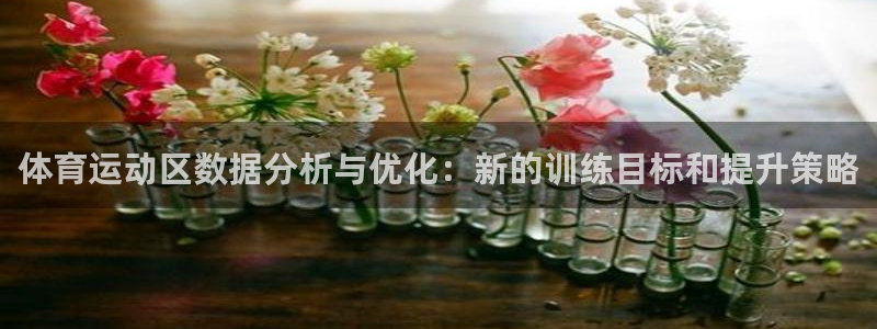 182体育app最新版：体育运动区数据分析与优化：新的训练目标和提升策略