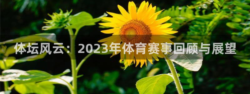 182体育红单足球官网入口：体坛风云：2023年体育赛事回顾与展望