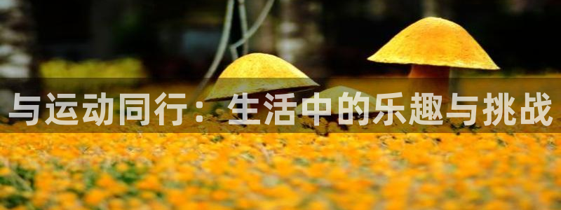 182体育网页版：与运动同行：生活中的乐趣与挑战