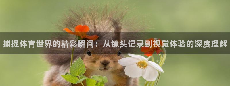 182体育app官方网站：捕捉体育世界的精彩瞬间：从镜头记录到视觉体验的深度理解