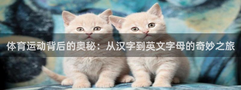 182体育官网能下载吗：体育运动背后的奥秘：从汉字到英文字母的奇妙之旅
