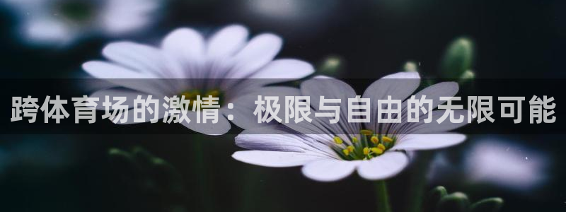 182体育什么：跨体育场的激情：极限与自由的无限可能