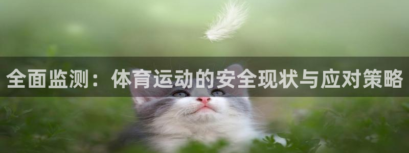 182体育app官方网站：全面监测：体育运动的安全现状与应对策略