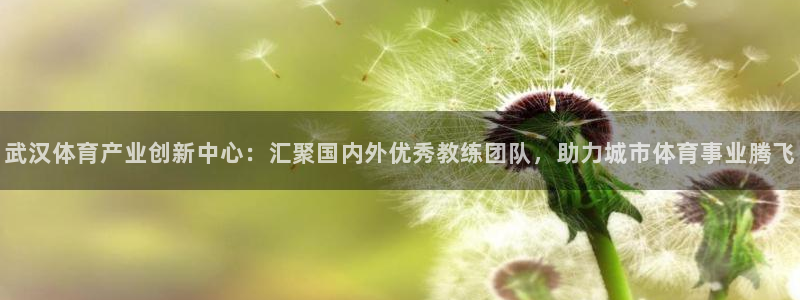182体育正规吗：武汉体育产业创新中心：汇聚国内外优秀教练团队，助力城市体育事业腾飞